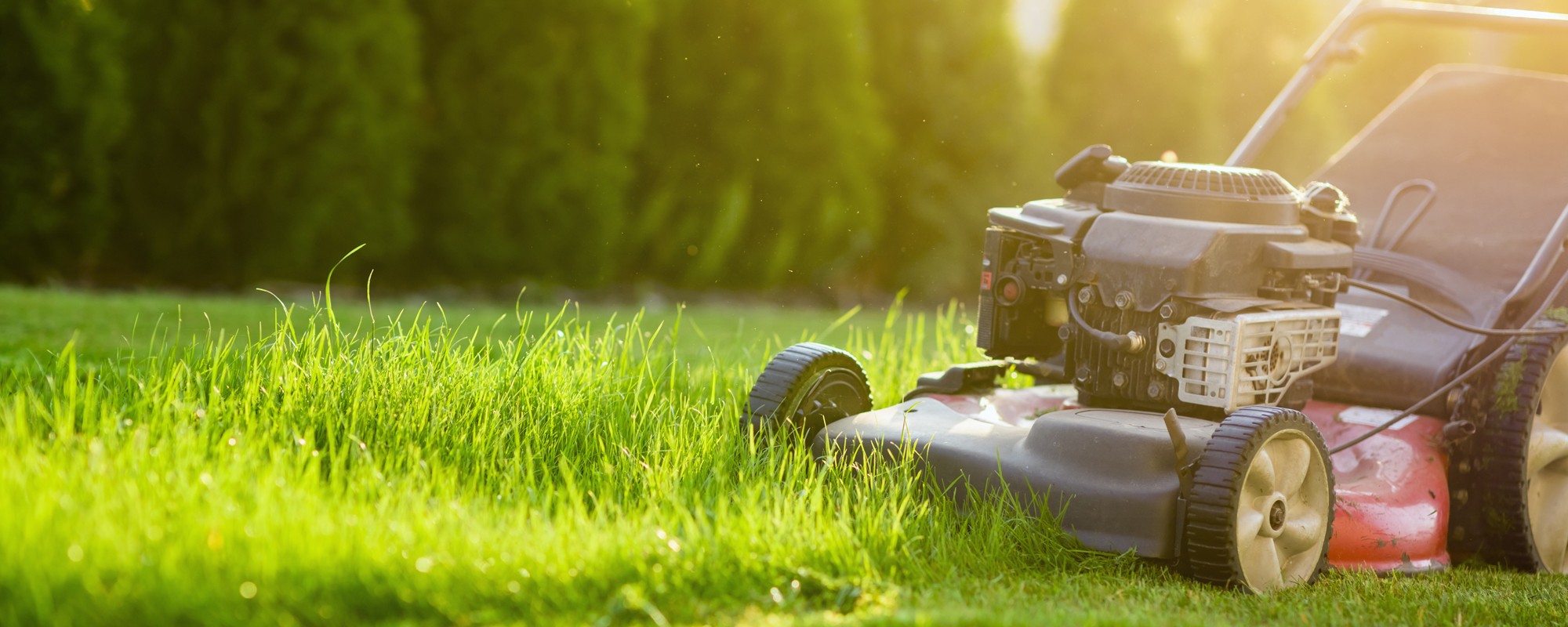 From timers or edgings to lighting or lawn grass, we have your landscape needs covered.
